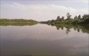 زرینه رود (جغتوچای)