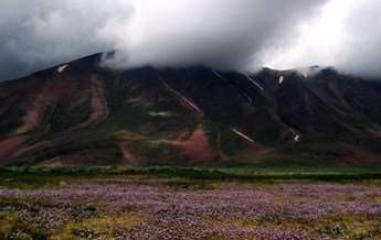 دشت مراغه