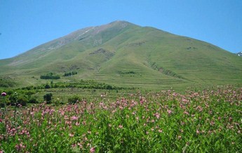 کوه کیامکی