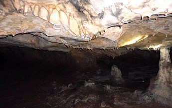 غار دوگیجان