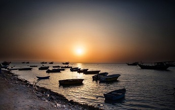 جزیره شیف