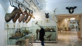 موزه آثار طبیعی و حیات وحش هفت چنار تهران